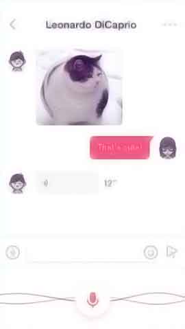 网站攻击防护